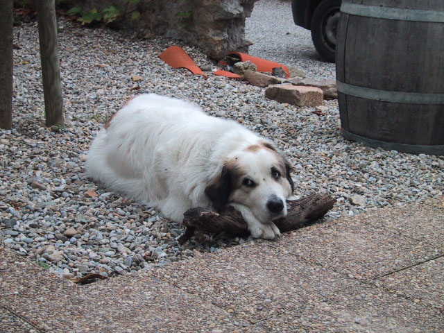 Weltschmerz.jpg (640 x 480)